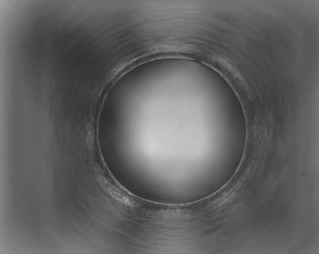 X0000073931025200608251610