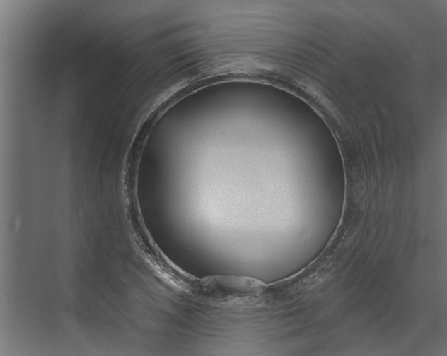 X0000073931026200608251610