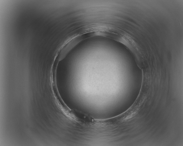 X0000073931034200608251610