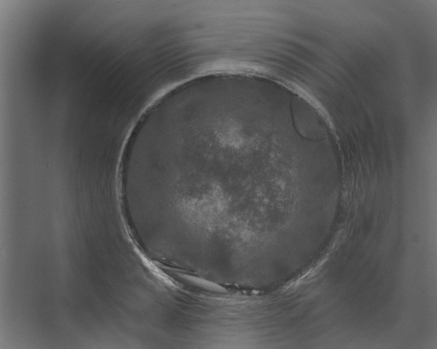 X0000073931037200608251610