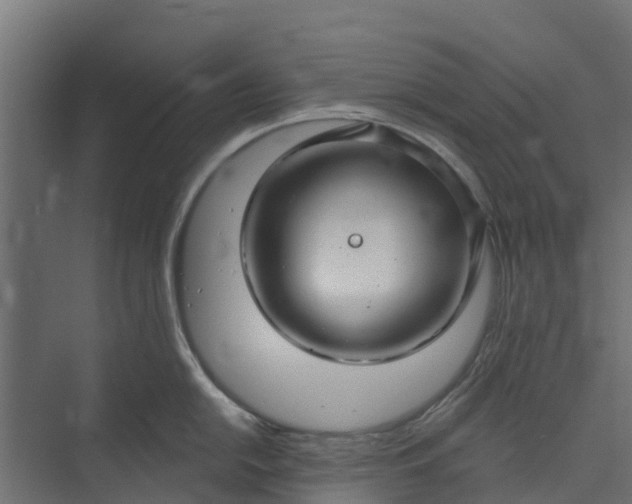 X0000073931054200608251610