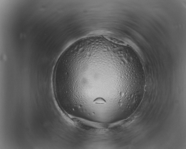 X0000073931055200608251610