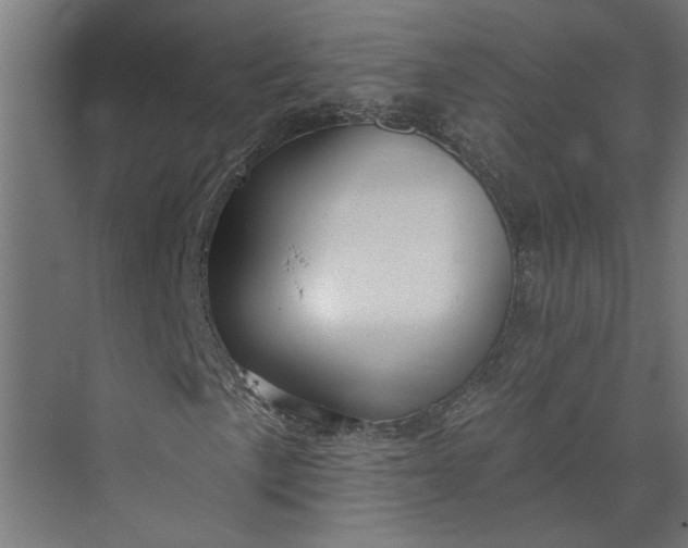 X0000073931057200608251609