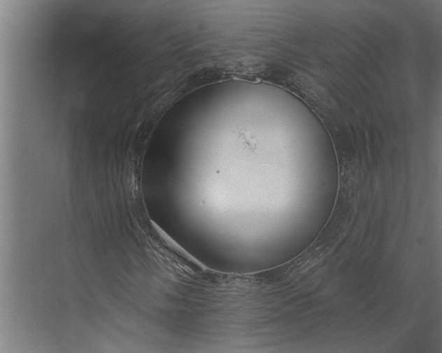 X0000073931058200608251609