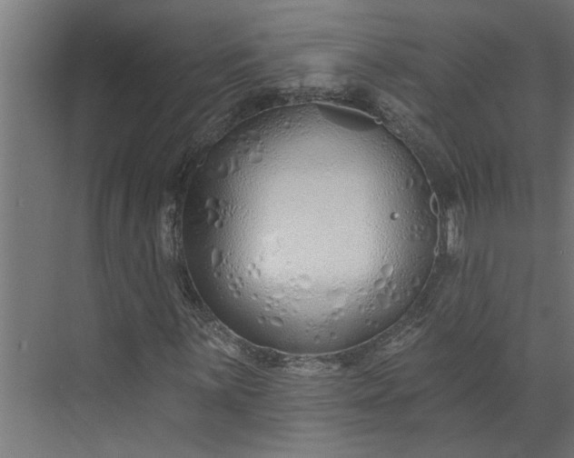 X0000073931059200608251609