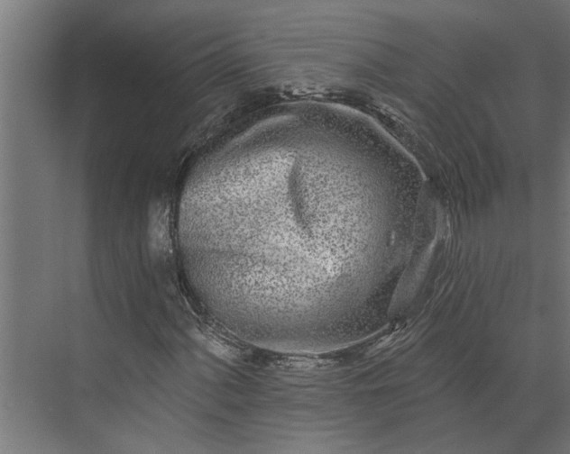 X0000073931060200608251609