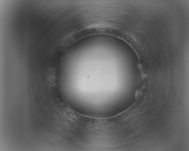 X0000073931062200608251609