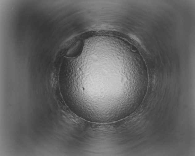 X0000073931063200608251609