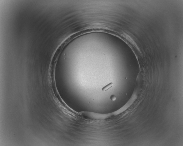 X0000073931068200608251609