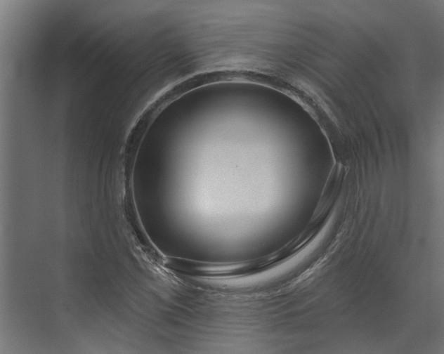 X0000073931069200608251609