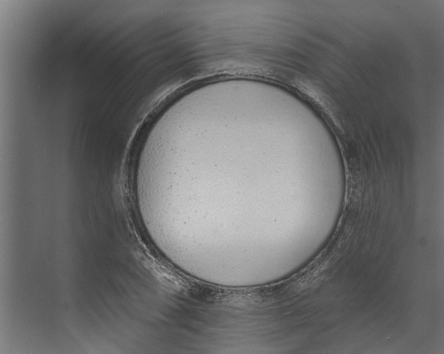 X0000073931074200608251609