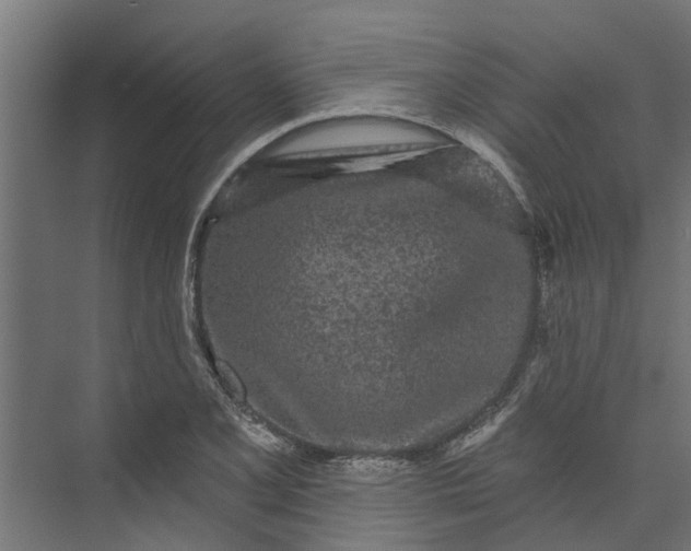 X0000073931077200608251609