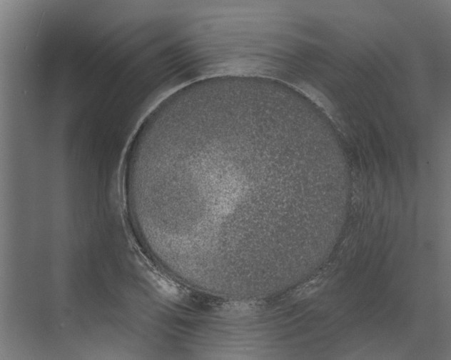 X0000073931078200608251609