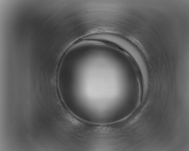 X0000073931081200608251609