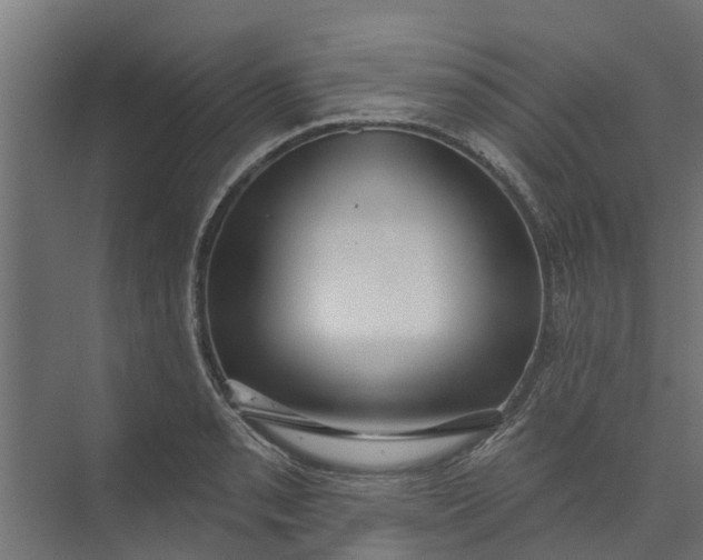 X0000073931085200608251609