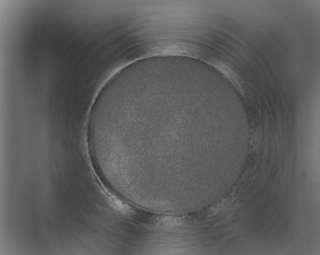 X0000073931086200608251609