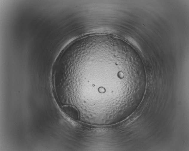 X0000073931087200608251609