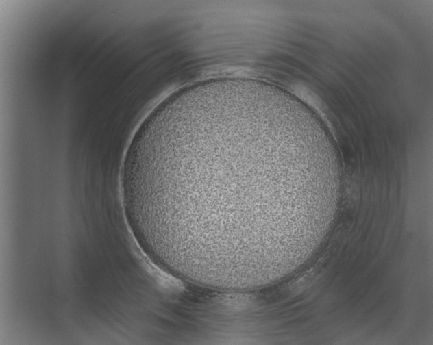 X0000073931090200608251609