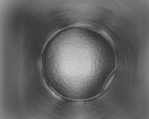 X0000073931092200608251609