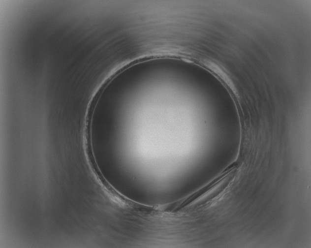 X0000073931093200608251609