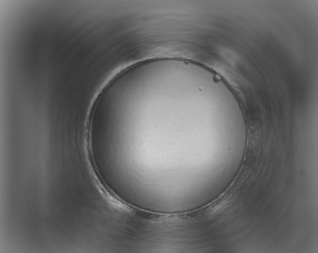 X0000073931094200608251609