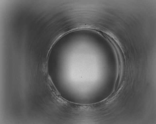 X0000073931097200608251609