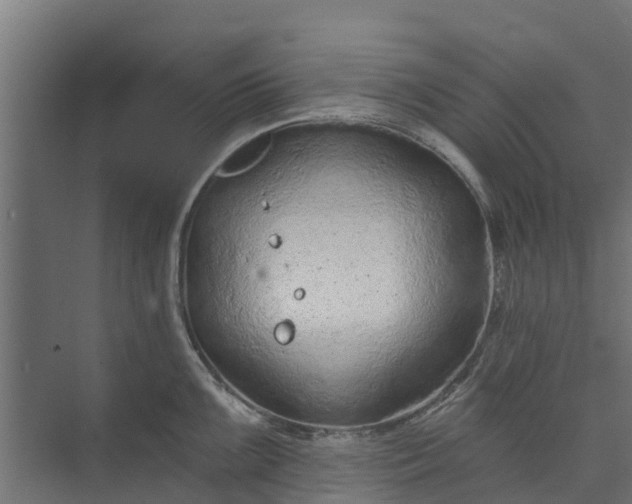 X0000073931099200608251609