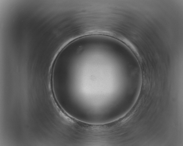 X0000073931102200608251609