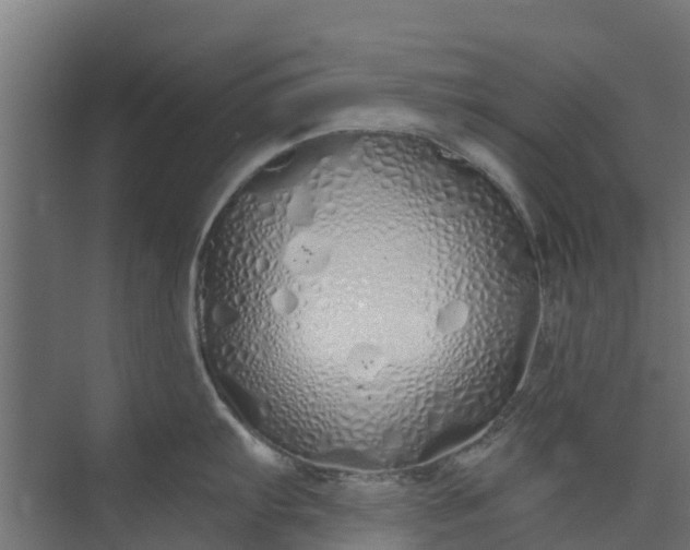 X0000073931103200608251609