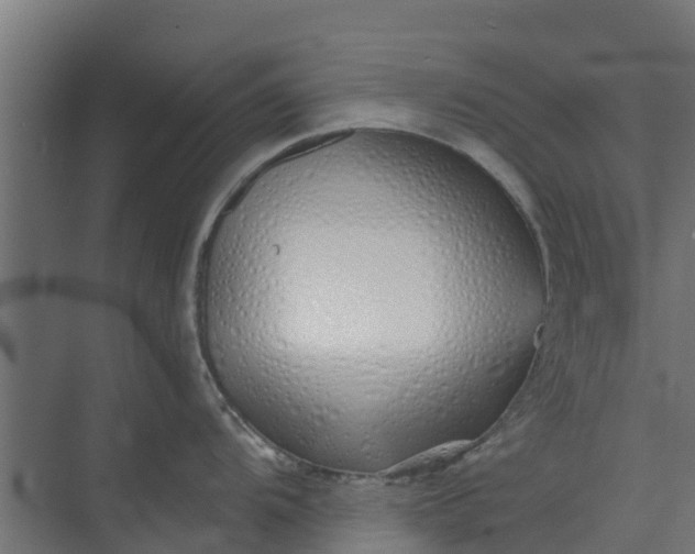 X0000073931104200608251609