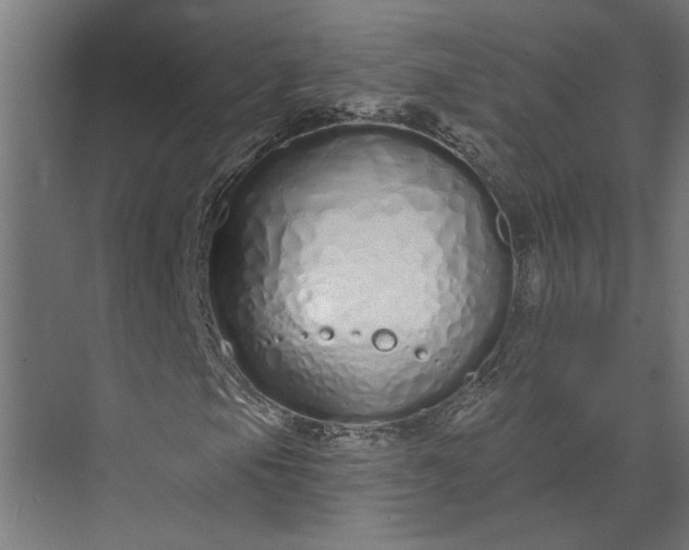 X0000073931105200608251608