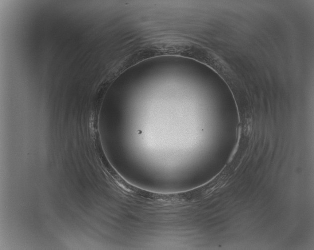 X0000073931108200608251608