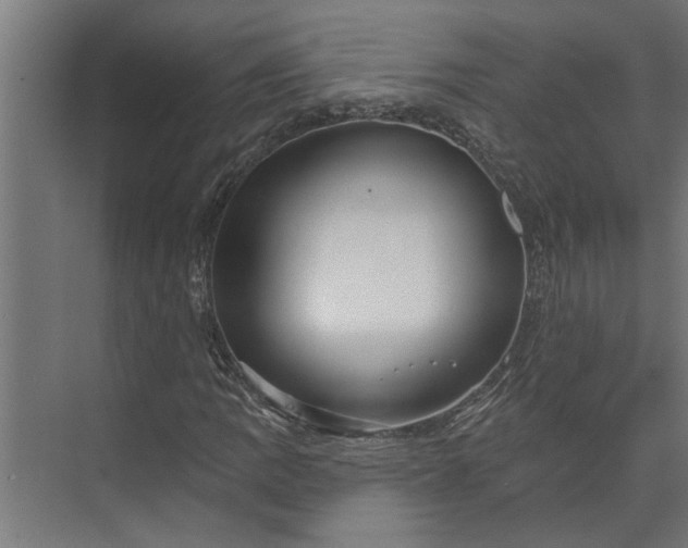 X0000073931109200608251608