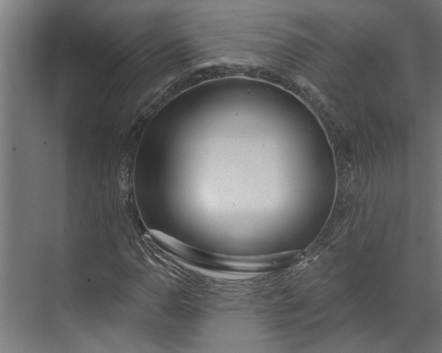 X0000073931110200608251608