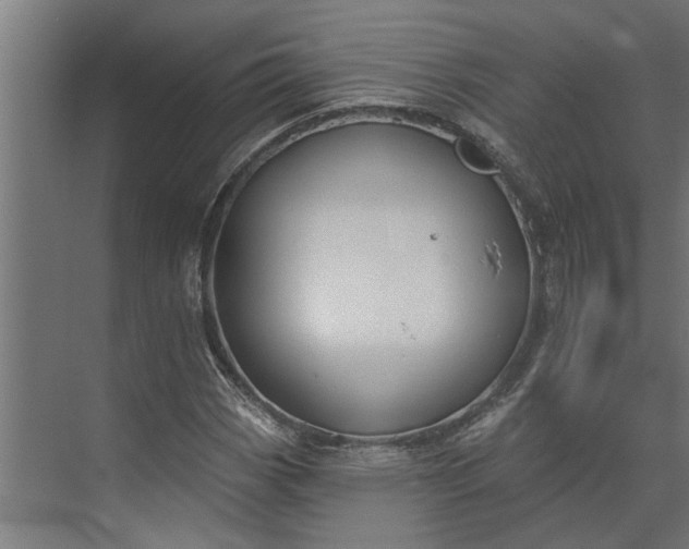 X0000073931113200608251608