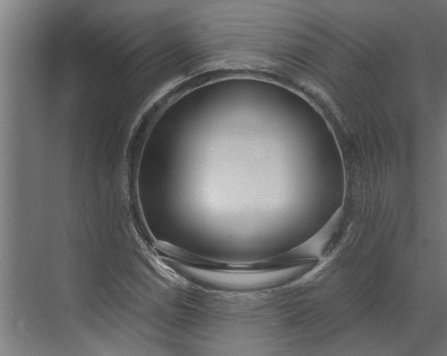 X0000073931114200608251608