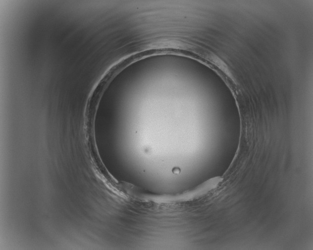 X0000073931116200608251608