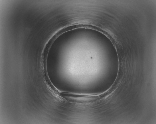 X0000073931118200608251608