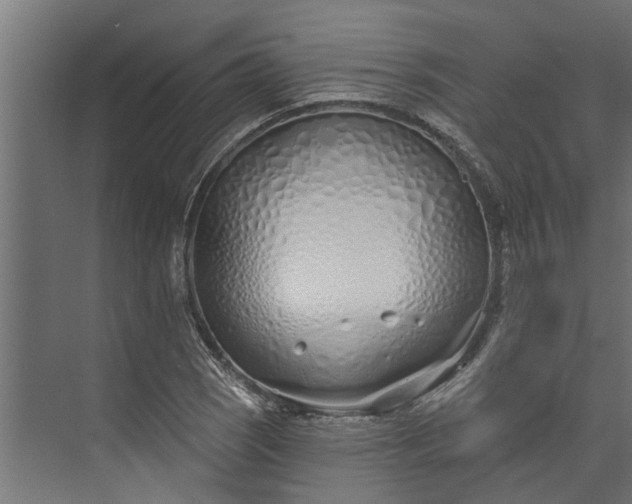 X0000073931121200608251608