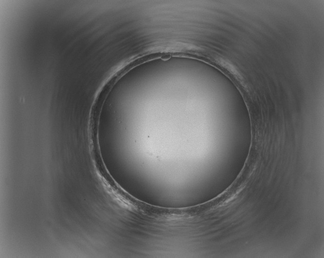 X0000073931122200608251608