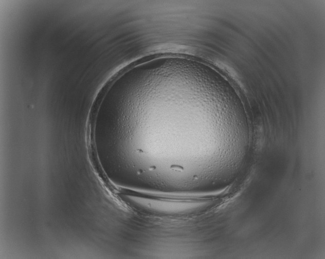 X0000073931125200608251608