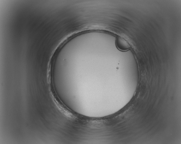 X0000073931126200608251608