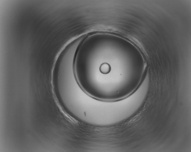 X0000073931128200608251608