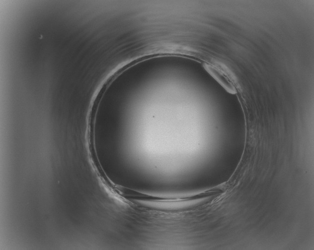 X0000073931136200608251608