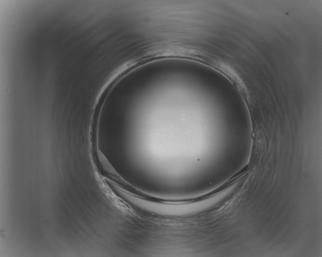 X0000073931138200608251608