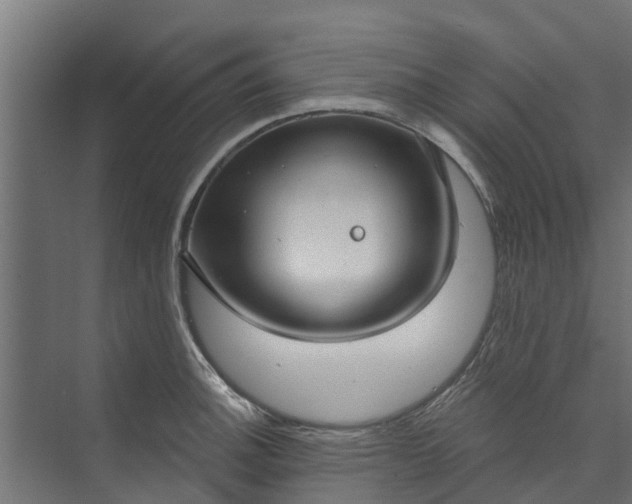 X0000073931140200608251608