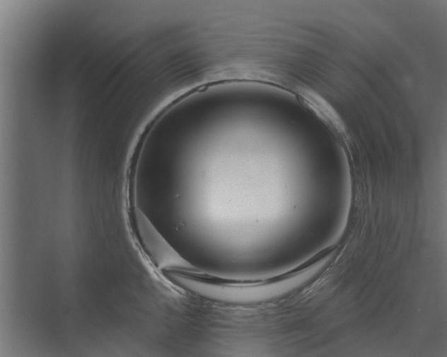 X0000073931144200608251609