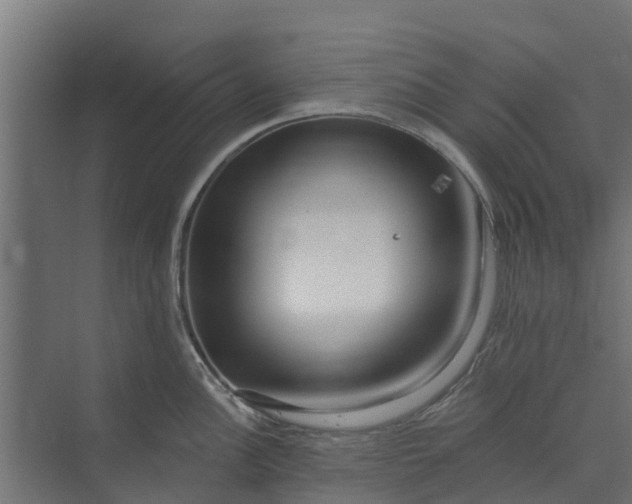 X0000073931148200608251609