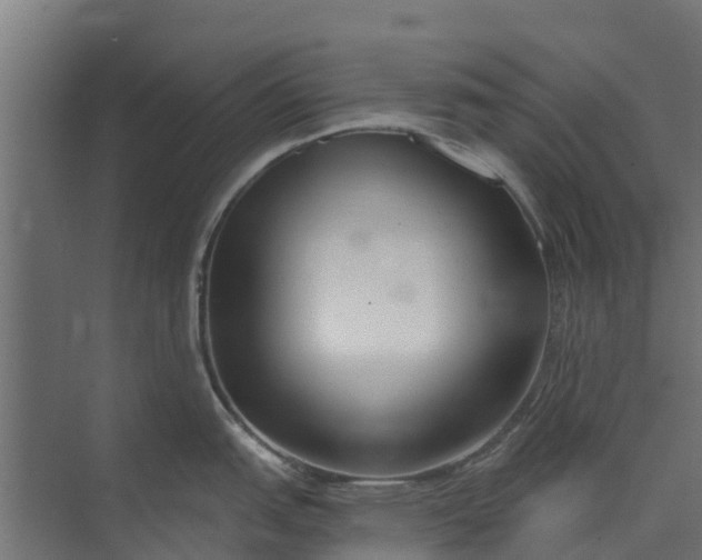 X0000073931151200608251609