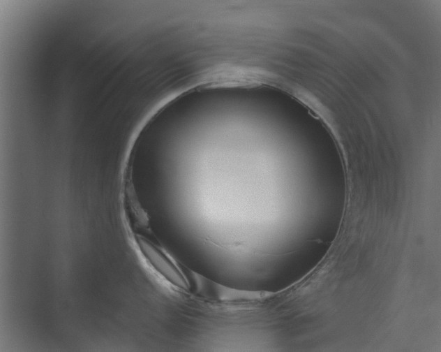 X0000073931152200608251609